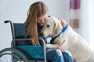 therapy and service animals are rising in popularity in the modern world.