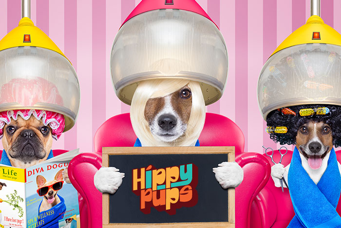 Hippy Pups. The Benefits of Canine Grooming for Your Pet's Health. Have you ever wondered why it's important to take your dog to the groomer? Besides making your pet look good, canine grooming also has many benefits for your pet's health.