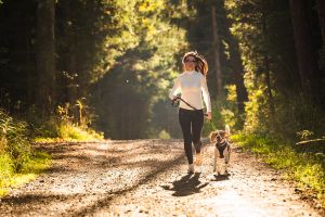 5 Tips to Keep Your Dog Cool During Summer. You can ensure that your furry friend stays cool and comfortable throughout the summer season.
