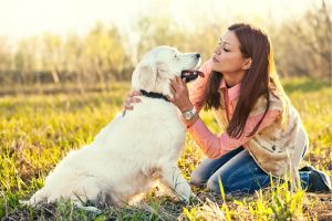 Hippy Pups. Daily Pet Care: Practical Tips to Keep Your Pet Happy and Healthy. Follow these practical and valuable tips to keep your furry companion happy and healthy in every aspect of their life.