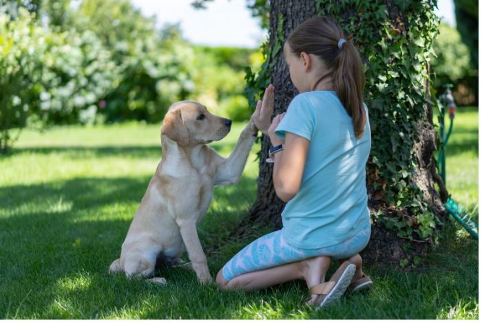 Hippy Pups. Reasons Why Pets Need to Be in Contact with People: Emotional and Social Benefits. Regular contact with people is essential for the overall well-being of our pets.