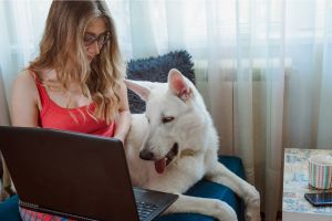 Hippy Pups. Reasons Why Pets Need to Be in Contact with People: Emotional and Social Benefits.  In addition to providing love and care, we must ensure meaningful interactions with people to promote their emotional and social health. 