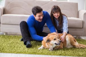 Hippy Pups. The Secrets to a Successful Adoption: Prepare Your Home and Heart for Your New Pet. By following these secrets to a successful adoption, you will be well-prepared to welcome your new pet into your home and provide them with a happy and fulfilling life.