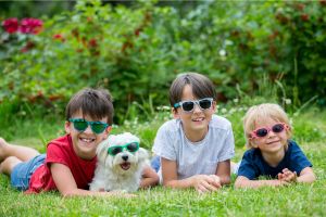 Hippy Pups. Practical Tips for Teaching Children to Care for a New Family Pet.  Through love, patience, and guidance, children can develop a strong and meaningful bond with their furry companions, creating cherished memories that last a lifetime.