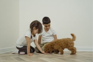 Hippy Pups. Practical Tips for Teaching Children to Care for a New Family Pet. 