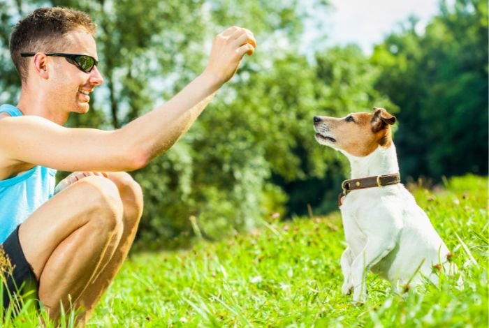 Hippy Pups. The Importance of Spending Quality Time with Your Dog. Spending quality time with your dog is an investment in their happiness and health, as well as in your own well-being.