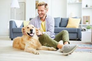 Hippy Pups.  The Importance of Spending Quality Time with Your Dog.  From mental stimulation to physical exercise and emotional connection, the benefits are numerous. 