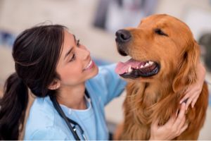 Hippy Pups. The Importance of Taking Your Dog to the Veterinarian for Regular Health Check-ups. By making these check-ups a priority, you're giving your furry friend the best chance for a long, healthy, and joyful life.