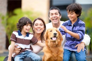 Hippy Pups. Want a Pet? It's Not a Game, It's a Lifelong Commitment to a Happy Home.  When you choose to bring a pet into your life, you commit to providing love and care throughout their entire lifetime.