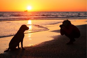 Hippy Pups. Unleash the Magic of Pet Photography and Preserve Precious Memories. We support your passion for pet photography and are here to inspire and assist you with every click of the shutter.